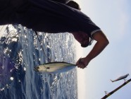 Click to Enter 'PumpkinPatchFishing 011' Page